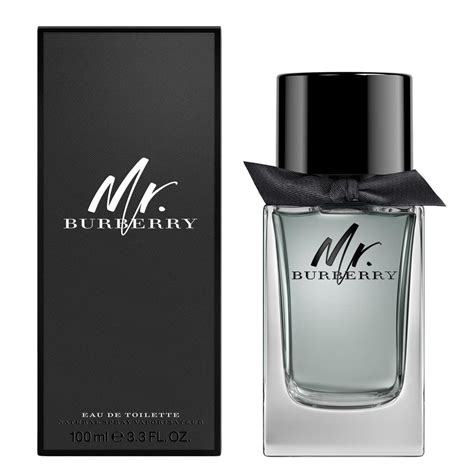 mr. burberry for men|edgars mr burberry perfume.